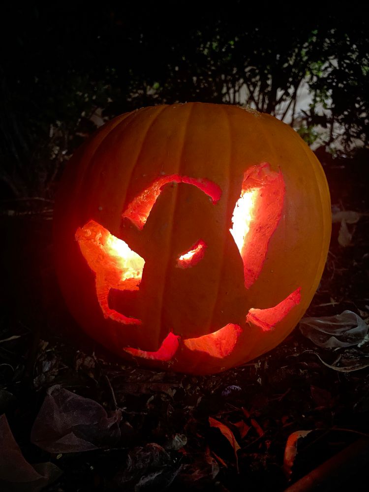 Image shows a pumpkin with the Anaheim Ducks logo carved into it
