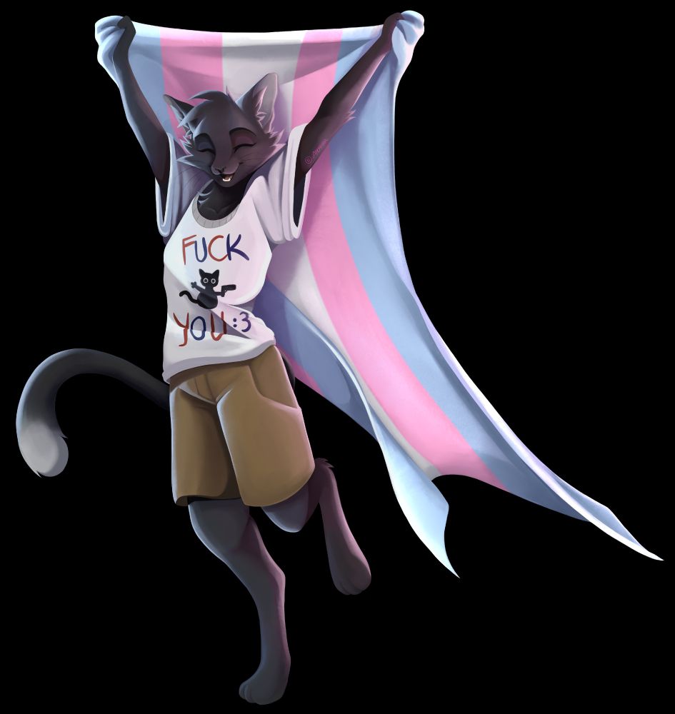 A digital painting of a feline furry character holding the trans pride flag above her head so that it billows in the wind behind her.  The character is a dark grey domestic cat with a lighter tail-tip, wearing simple brown shorts and a white t-shirt that reads "FUCK YOU :3" along with a tiny, extremely cartoonified print-on graphic of a cat holding a gun.  Her body language and expression both look very free and happy, and she's lit in the colours of the trans flag, with blue lighting coming from one side and pink from the other.
