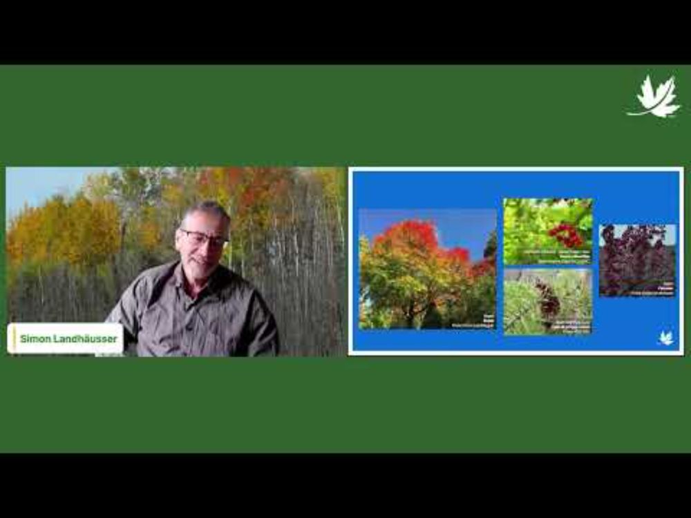NatureTalks - Canopy Clues