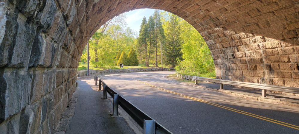 A brick archway with the Harvard arboretum visible in the distance. The overpass carries the Needham commuter rail line. It was a very long day of bleh and I needed some fresh air. Grabbed a Cubano from Tostado and walked up Peter's Hill to eat and stare at the longwood/back bay buildings in the distance. Stopped by Fornax on the way home so now I have English muffins for breakfast.
