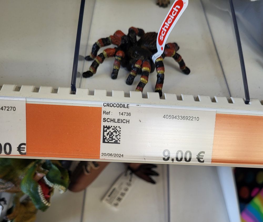 Une mygale rangée comme un crocodile 