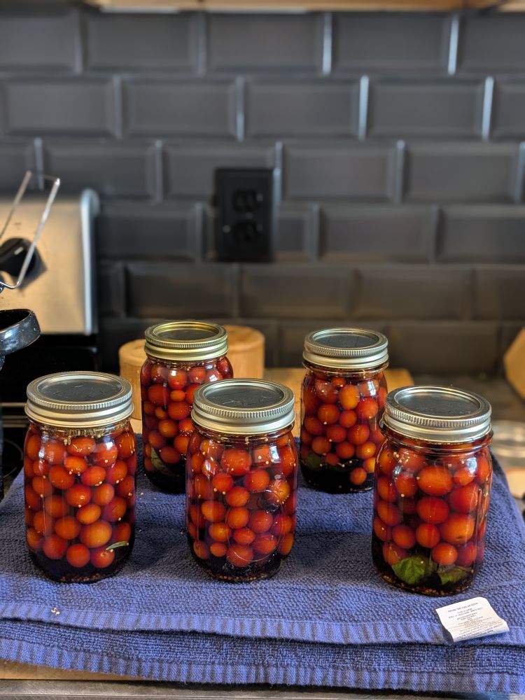 Cherry tomatoes in pint sized mason jars.