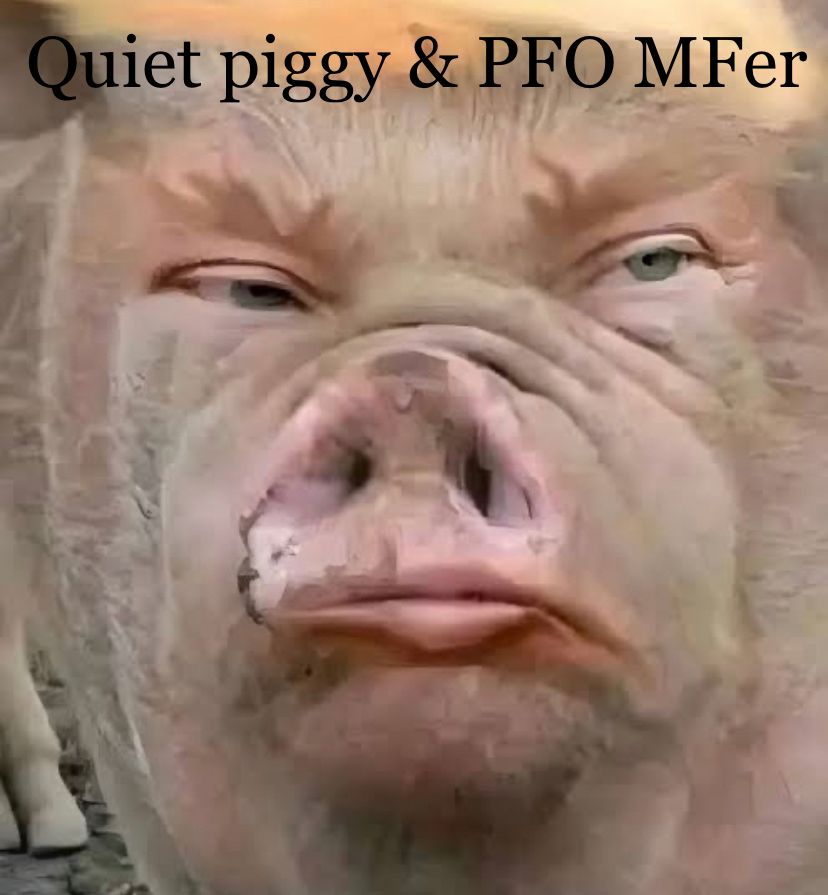 Pig with a Trump face - or is Trump with a pig face? I can’t tell. I hope no pigs are being insulted or traumatised by this. Caption reads: Quiet piggy & PFO MFer! The sooner, the better!