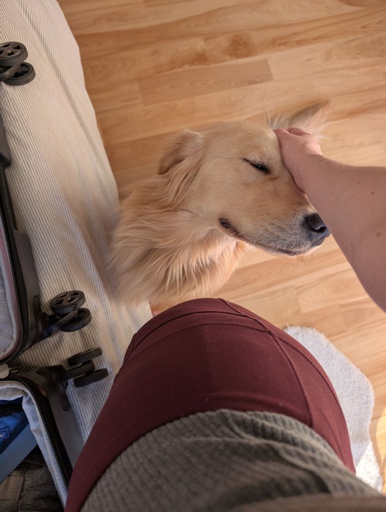 A golden retriever is sitting on the floor next to a person's leg with his nose pointed upward against the person's wrists. He's very cute. 