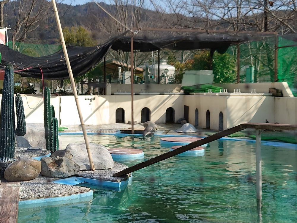 京都市立動物園