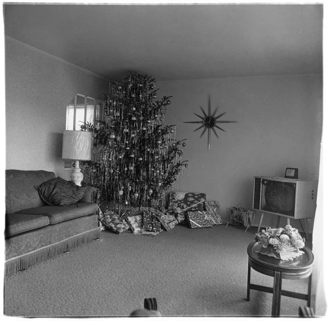 “Xmas tree in a living room in Levittown, L.I.” by Diane Arbus, 1962. A black and white image of a Christmas tree with tinsel and a living room scene with a couch and television set.