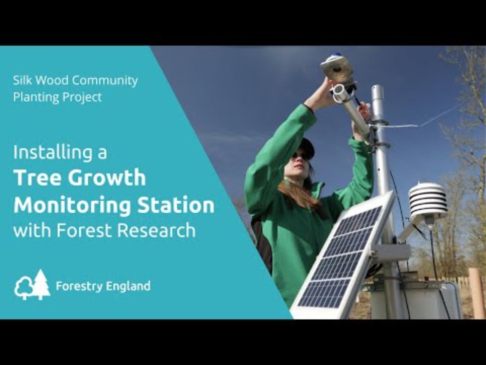 Installing a Tree Growth Monitoring Station