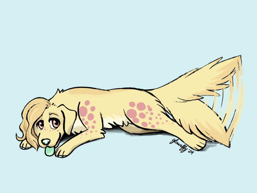 feral Sherbet lying down with a warm face, tongue out, and tail wagging