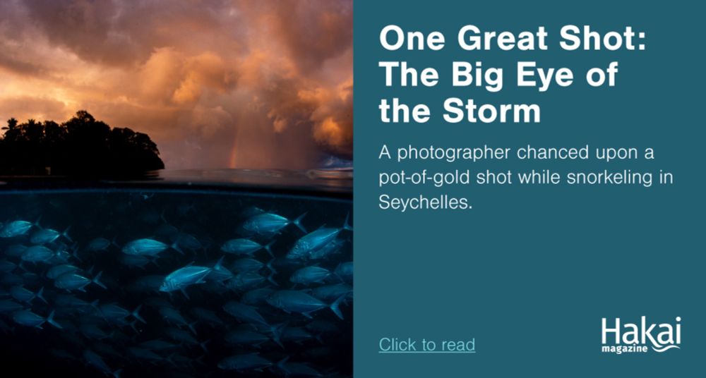 One Great Shot: The Big Eye of the Storm | Hakai Magazine