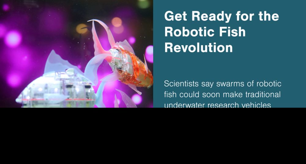 Get Ready for the Robotic Fish Revolution | Hakai Magazine