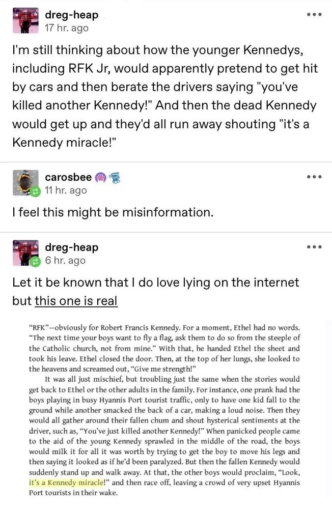 Dreg heap on Tumblr writes: I'm still thinking about how the younger Kennedys, including RFK Jr, would apparently pretend to get hit by cars and then berate the drivers saying 