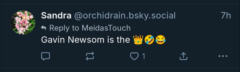 Bsky user sandra says 7 hours ago: Gavin Newsom is the 👑