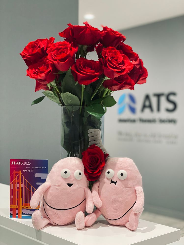 Plushy pair of lungs in front of a dozen red roses
