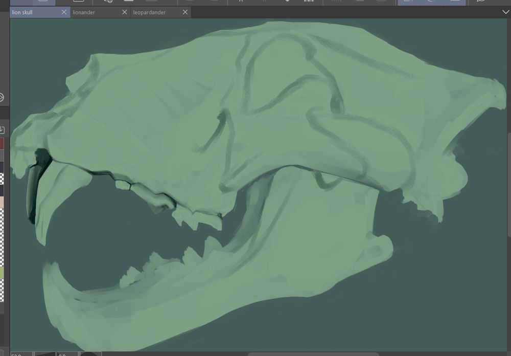 an unfinished painting of a lion's skull in profile, done in mint green on a light teal background