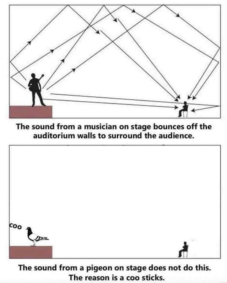 Two diagrams. First,  musician on stage: the sound travels, bouncing off floor, ceiling and walls seven ways to reach an audience member. 
Label: The sound from a musician on stage bounces off the auditorium walls to surround the audience.

Second, a pigeon on the stage facing away from the audience says "coo", and to goes to the wall and stops there.
Label: The sound from a pigeon on stage does not do this.
The reason is a coo sticks.