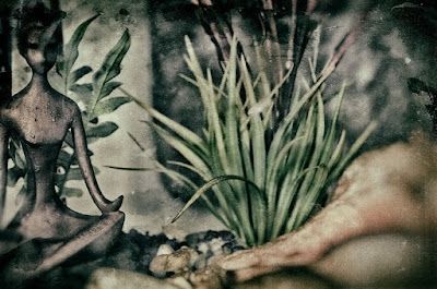 Picture of aquarium setup 👌