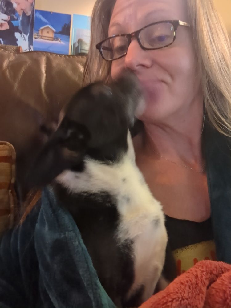 A black and white Chihuahua/ Boston terrier is in the foreground of the photo, but is blurry because he is aggressively licking the face of the OP, who has the doggo tucked into a green fuzzy robe. OP is a 50ish year old white woman with gray streaked long blond hair. She is wearing glasses, a bemused expression, and a lot of dog slobber. 