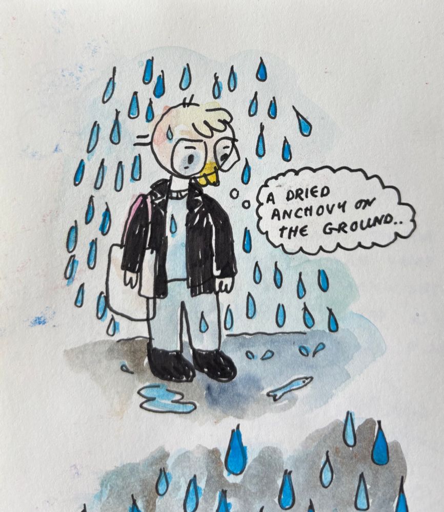 anchovy in the rain 