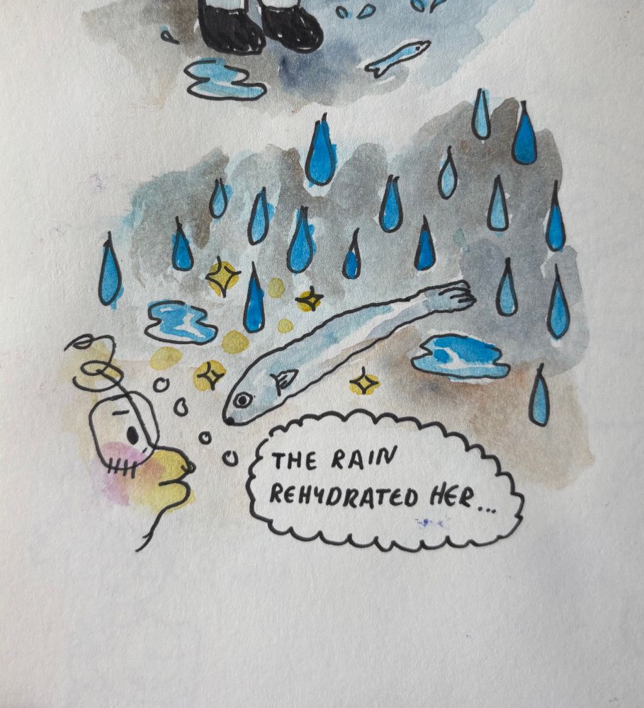 the rain rehydrated the anchovy 