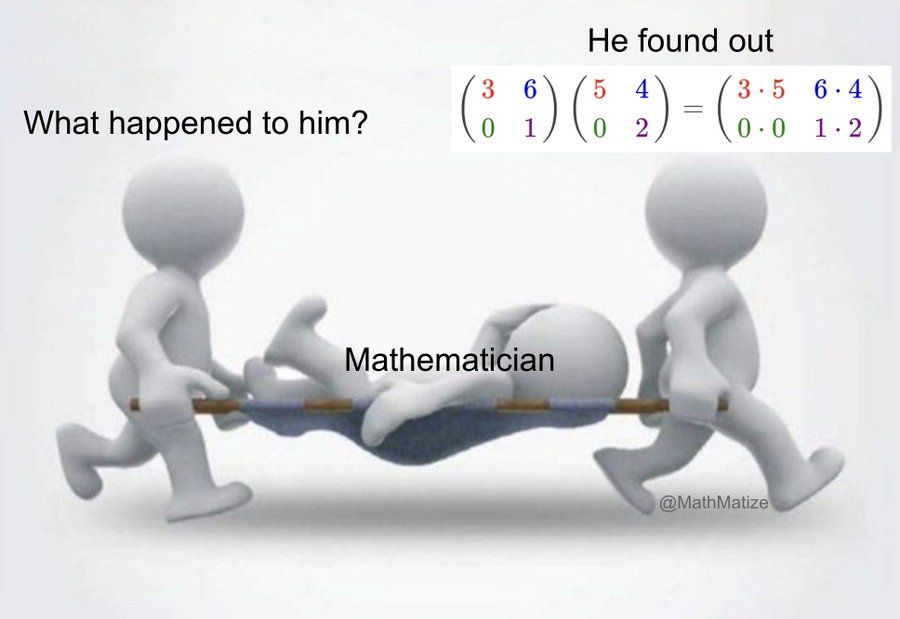 2 characters carrying another character in a stretcher. The characters are saying "What happened to him?" and "He found out (3&6\\0&1)(5&4\\0&2)=(3\cdot 5&6\cdot 4 \\ 0\cdot 0&1\cdot2)". The character in the stretcher is captioned "Mathematician".