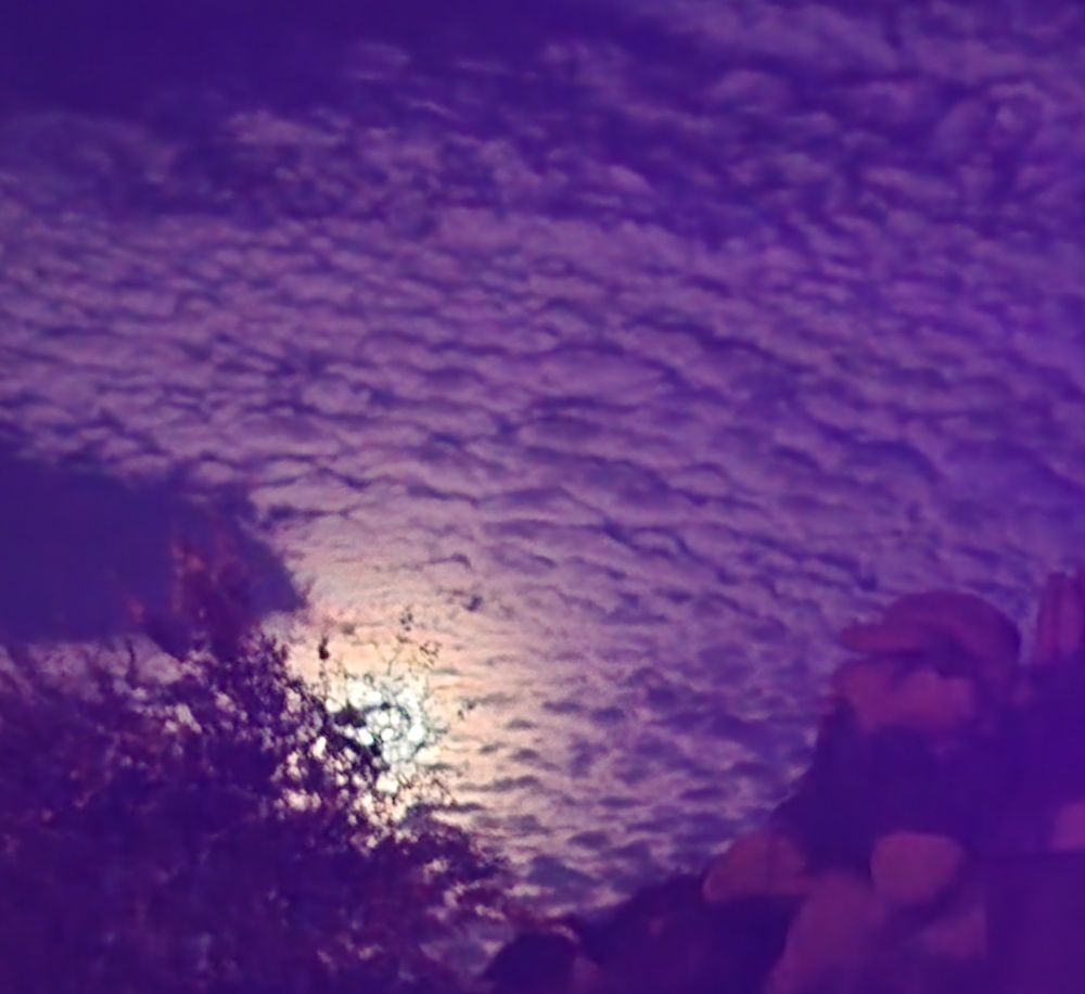 A moitié derrière des arbres, la lune éclaire un ciel parsemé de nuages 