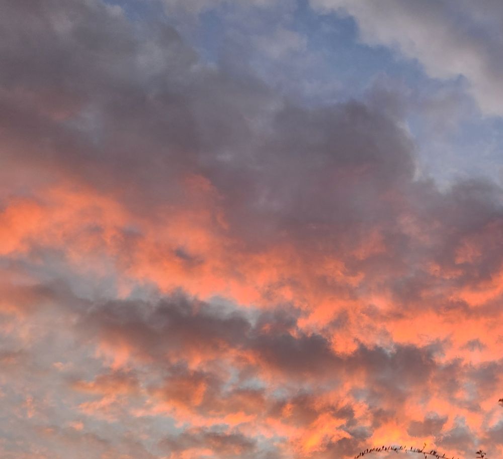 Ciel matinal très coloré. Jaune, rose orange, bleu et gris. 