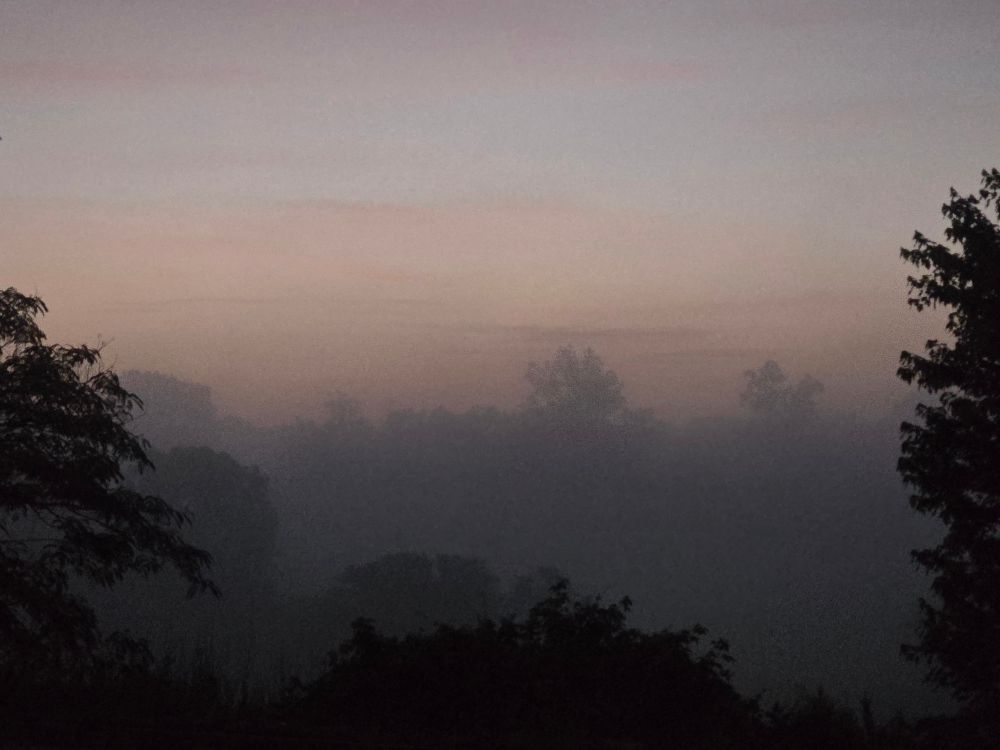 Foggy sunrise. 