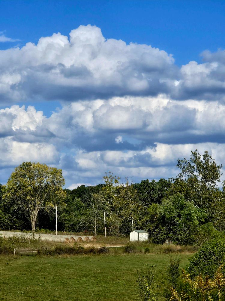 Peaceful country day. Green pasture and blue partly cloudy sky.