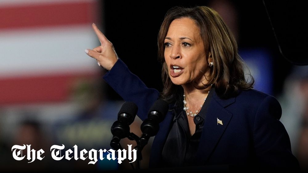 Labour activists campaigning for Kamala Harris in US ‘likely to break electoral law’