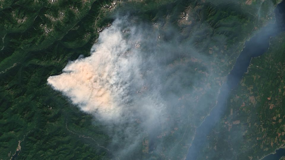 Border Patrol agents conducted an operation at the site of Washington state’s biggest wildfire this week﻿, and a Washington congresswoman’s office confirmed two firefighters were arrested at the site ...