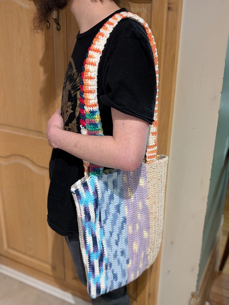 Multi colour bag with Discordian modeling it