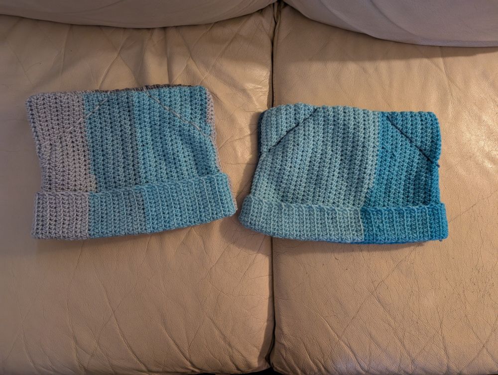 2 cat ear hats blue/grey. One of me and one for Discordian