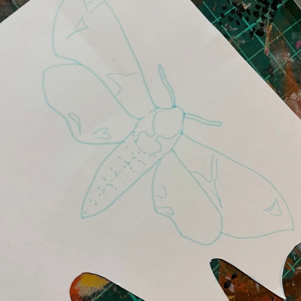 A rough moth doodle on a piece of white paper