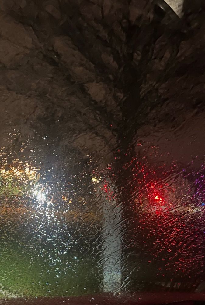 A tree looms in the darkness behind a window smeared with rain. White and red lights glow to either side. 
