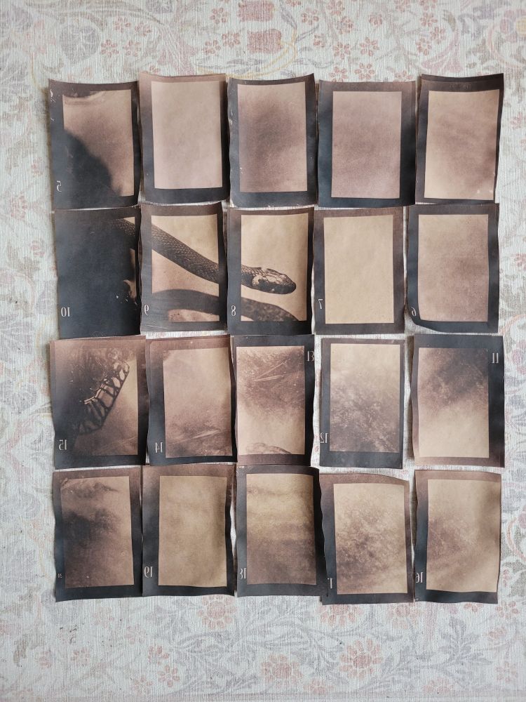 Alternative prints, stained with green tea