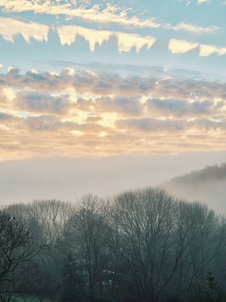A landscape with trees and mist in the lower half of the image, and glowing clouds above which are themselves casting shadows on wispy cirrus clouds at the top of the image.