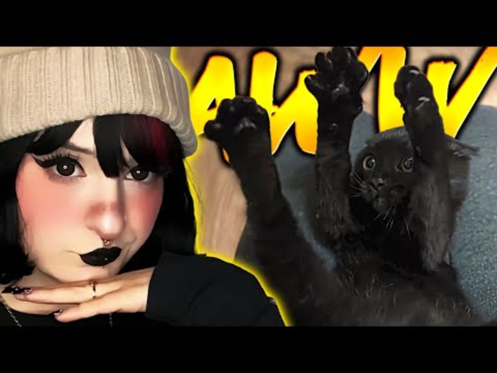 Niki has AGGRESSION!! | Try Not To Aww | 51