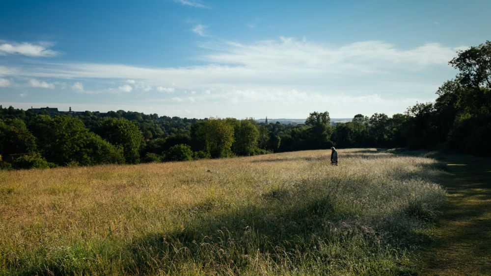 A photograph of a person walking across a field surrounded by hedgerow, in the distance the skyline of a town is visible. The photograph was taken by Nick Seagrave, on Unsplash
