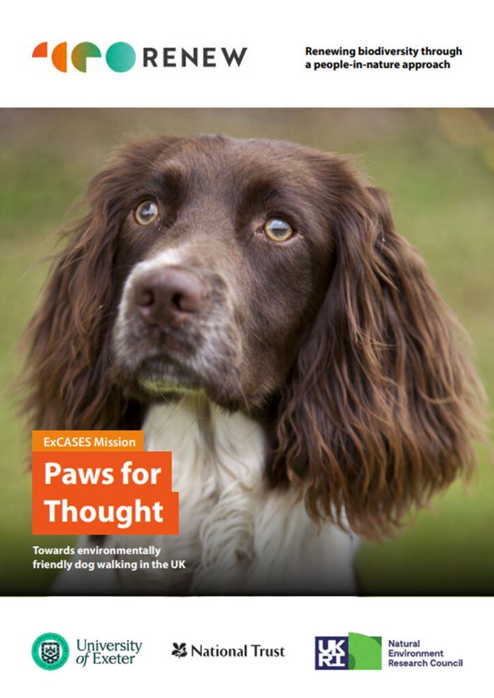 A photograph of a spaniel looking eagerly at the camera, with the words `Paws for thought’, written on the frontpage. Please follow the link for more information. 