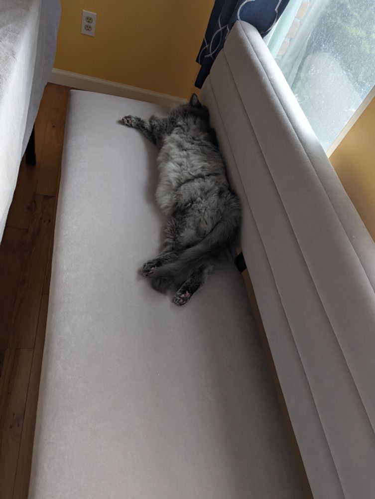 A fluffy gray cat lays stretched out on a gray bench. 