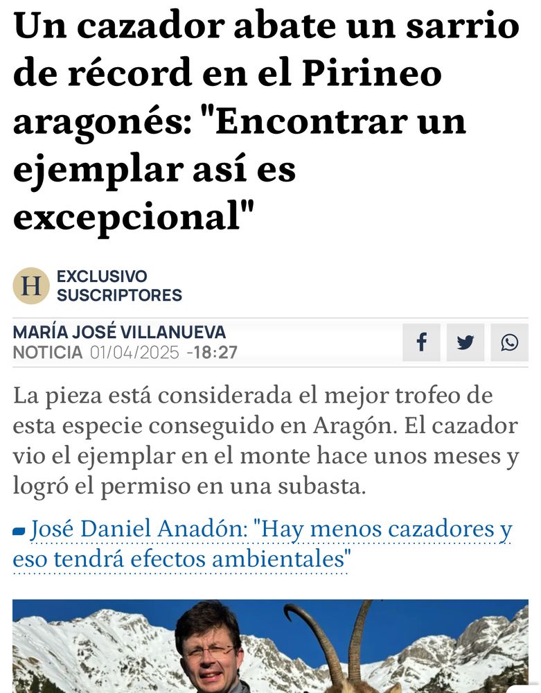 Un animal ha matado a un sarrio 