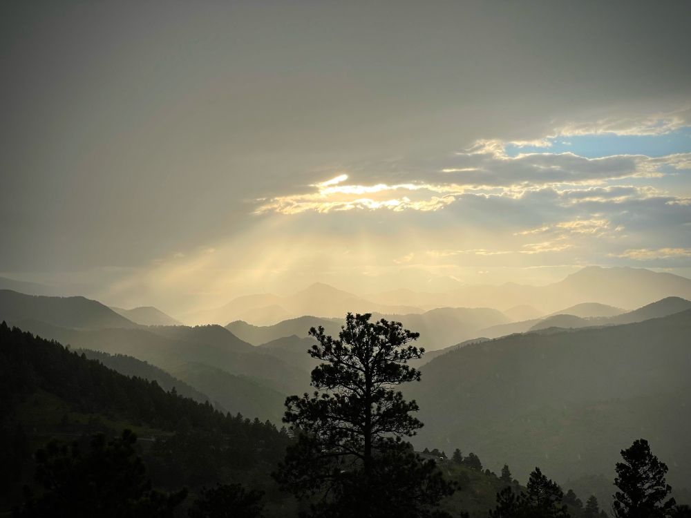 A landscape photograph depicting a series of foothills extending into a haze-shrouded horizon. Centered in the foreground is a silhouette of the top of a pine tree though, unlike the many other visible smaller pine tree outlines, this one lacks the distinctive stereotypical triangular shape. Instead it tapers irregularly until ending somewhat abruptly just as it meets one of the most distant visible foothill peaks. The sky is mostly an indistinct mass of gray clouds, though one small window of blueness is seen up to the right and vaguely connects to a single, brightly backlit aperture where originates a series of crepuscular rays, as if an old, very large incandescent flashlight is being shone down from the heavens.