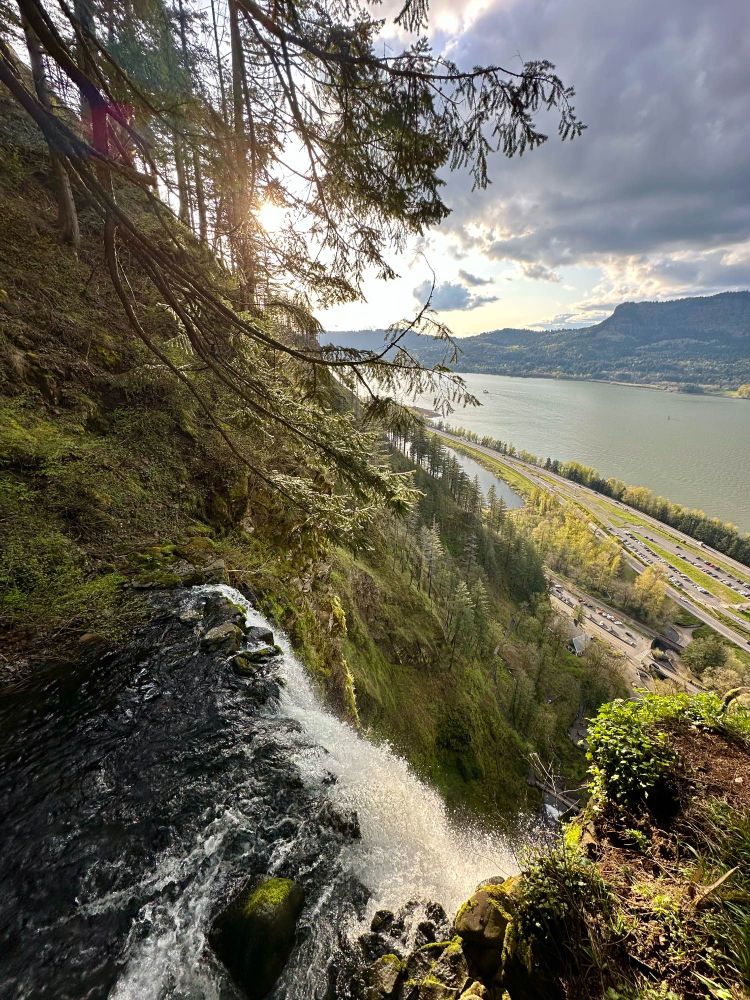 View from Multnomah Falls overlook: vertically-oriented shot looking out across the Columbia River Gorge with the waterfall in the bottom left and some branches from out of frame at the top left, the late evening sun shining through them. The Columbia River is seen midframe, a highway alongside it, as well as a parking lot and people far below. 