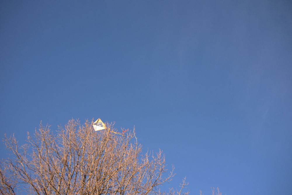 A kite—averaged-sized and of the traditional diamond-shaped variety—is seen caught atop the far upper branches of a tree lacking any leaves, set against a virtually cloudless blue sky. The shot is artfully framed so that the tree barely occupies the bottom left quadrant of the image. The sky is largely monochromatic blue with slightly darker corners from natural vignetting from the lens (the photograph was taken with a Micro 4/3 camera.) There are very faint wisps of clouds without well-defined edges in the upper right of the shot.