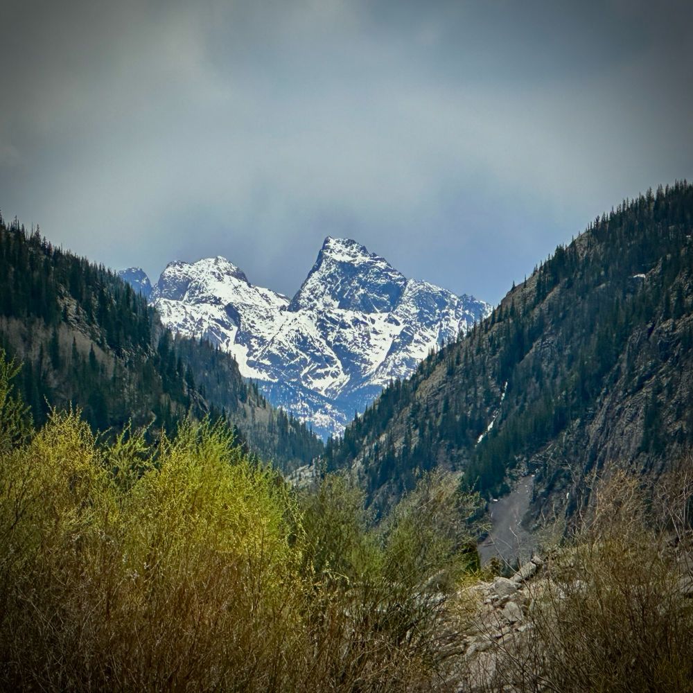 A view of Turret Peak on the left and Pigeon Peak on the right, snow-dusted and tightly framed between steep pine tree covered hills that converge in lower mid-frame, with greenish-brown scrub foliage along the bottom third foreground.