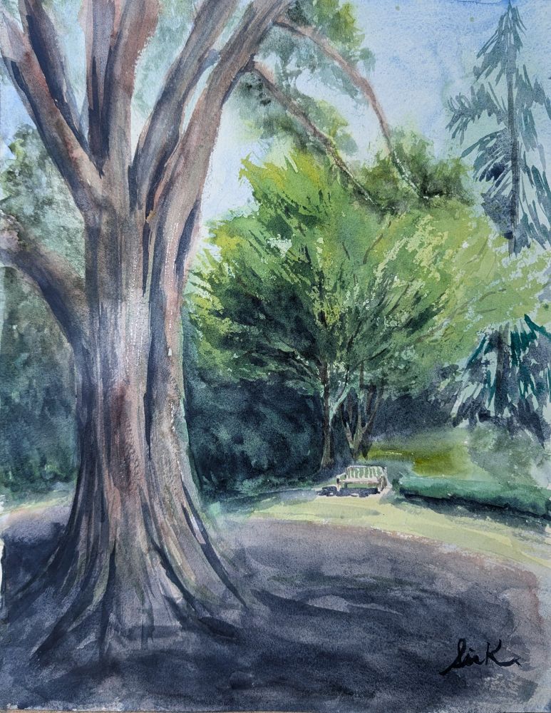 Watercolor of a park scene with a bench under a small tree with a larger oak trunk in the foreground 