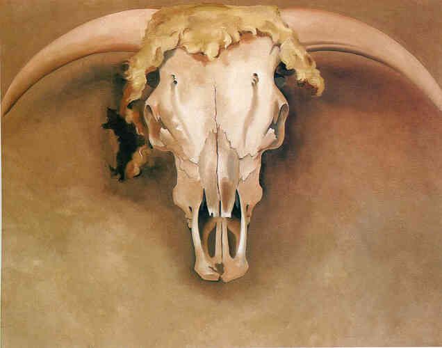Bob Steer Head
