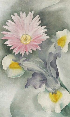 Pink Daisy with Iris