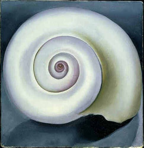 Shell No. I