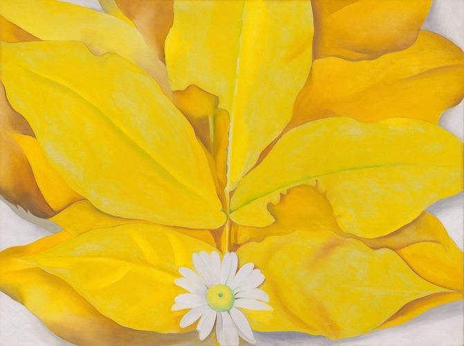 In the 1920s, Georgia O’Keeffe began concentrating on representing enlarged still-life elements with carefully realistic handling. Although known more for her flower paintings, she frequently depicted leaves, inspired by the examples she found on her walks around Lake George in upstate New York, where she summered with her husband, Alfred Stieglitz, between 1918 and 1928. In Yellow Hickory Leaves with Daisy, O’Keeffe painted the leaves around the small white daisy at lower center so that they seem to be emanating from the flower. She hoped that the strangely magnified subjects would inspire viewers to, as she said, “be surprised into taking time to look at” them in a new way.

Alfred Stieglitz Collection, gift of Georgia O'Keeffe
